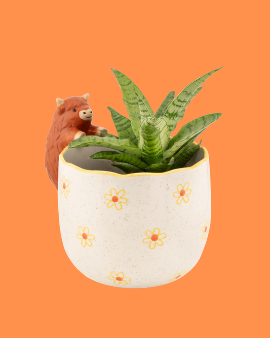 Peeking Highland Cow Planter