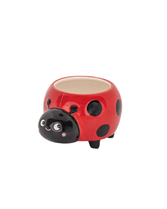 Mini Ladybird Planter