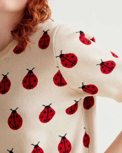 Ladybirds Knitted Jumper In Cream