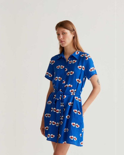 Ladybirds In Love Shirt Dress