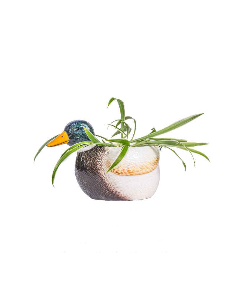 Mini Mallard Duck Planter