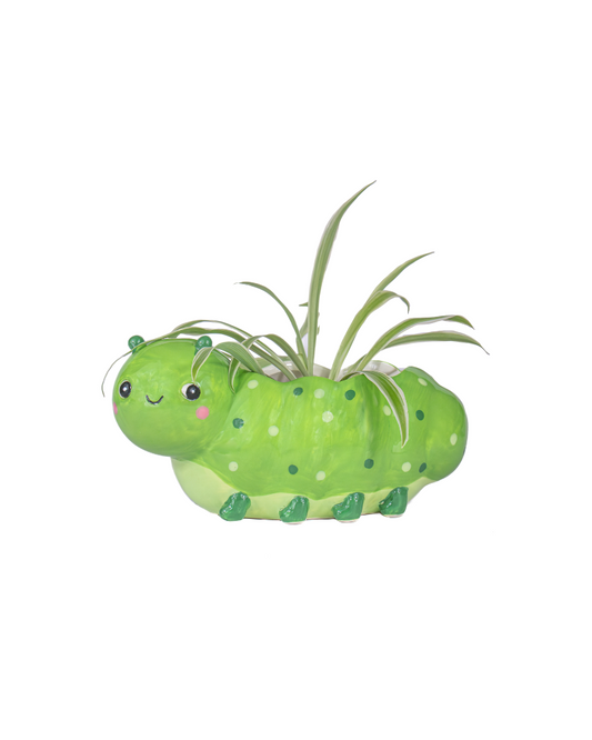 Mini Caterpillar Planter