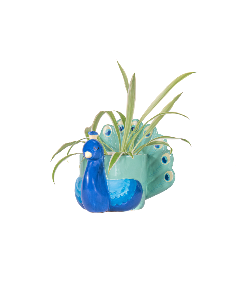 Mini Peacock Planter