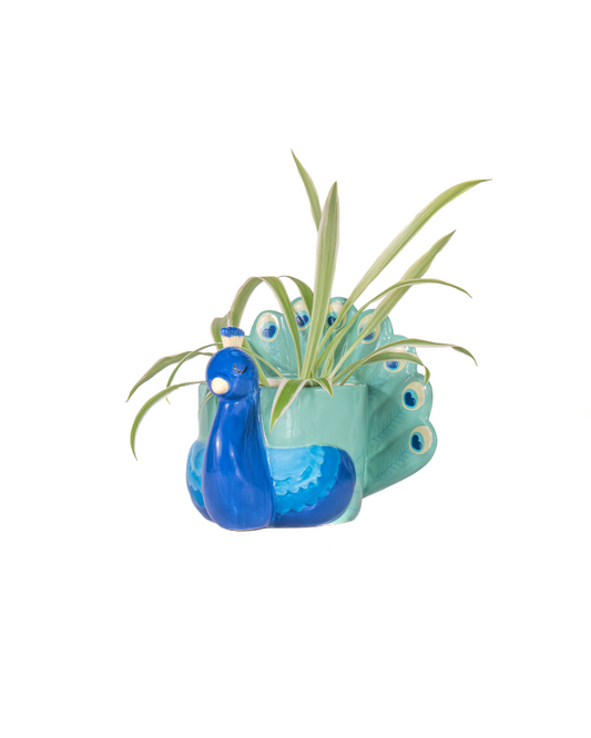 Mini Peacock Planter