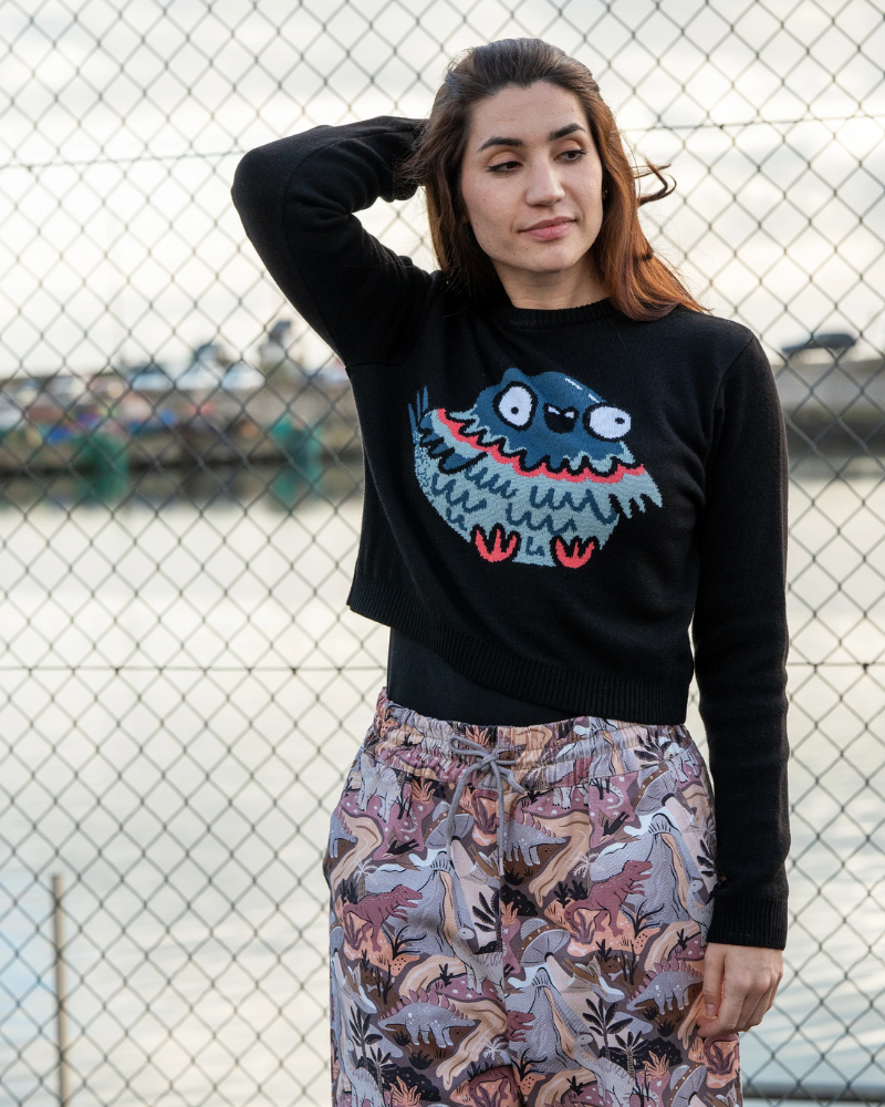 Party Pigeon Cropped Jumper Rebel Romance x Katie Abey