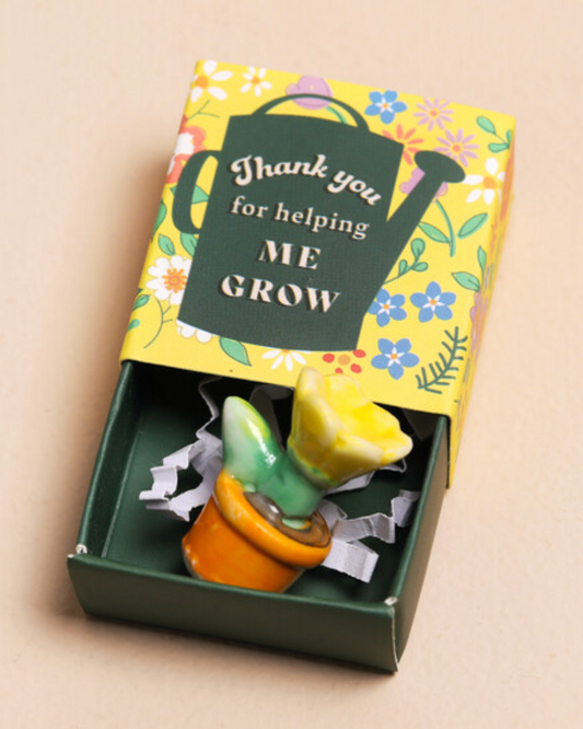 Plant Grow Ceramic Token In Matchbox