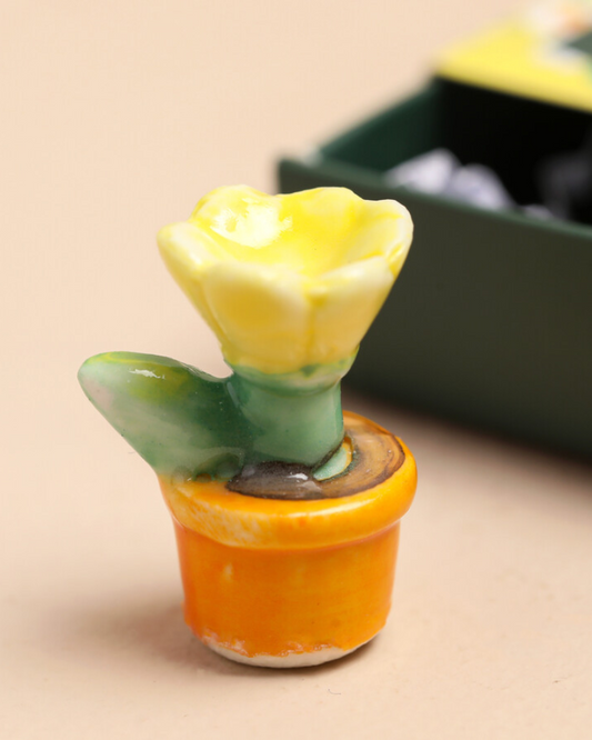 Plant Grow Ceramic Token In Matchbox