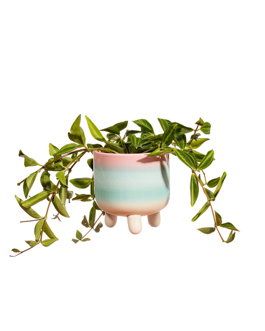 Pastel Ombre Leggy Planter Small Pink/Green