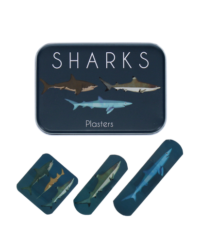 Children's Shark Plasters in a Tin
