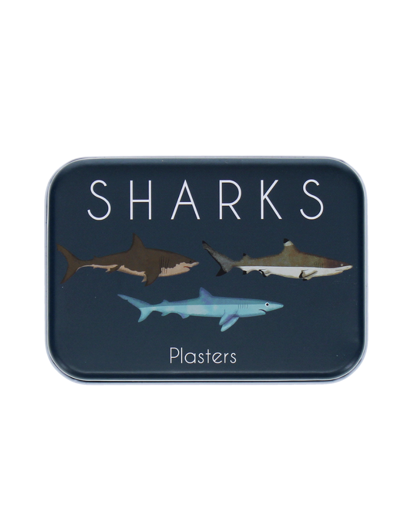 Children's Shark Plasters in a Tin