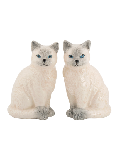 Ragdoll Cat Salt & Pepper Set