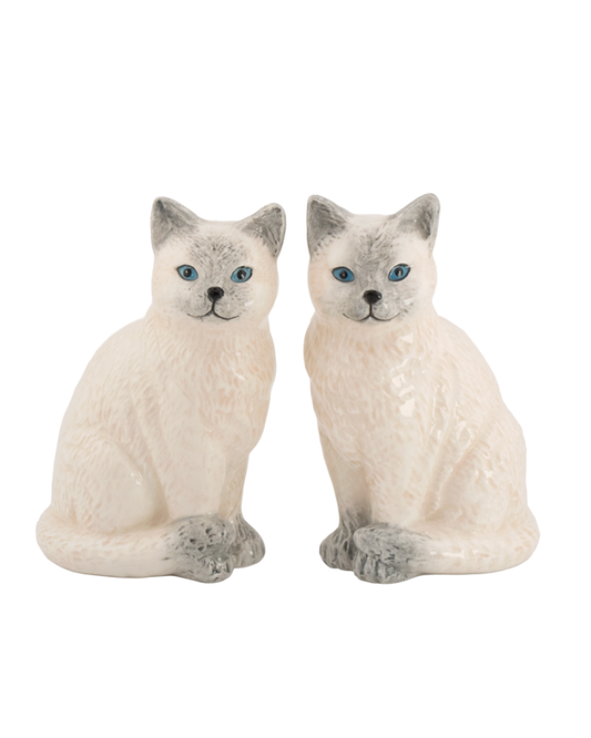 Ragdoll Cat Salt & Pepper Set