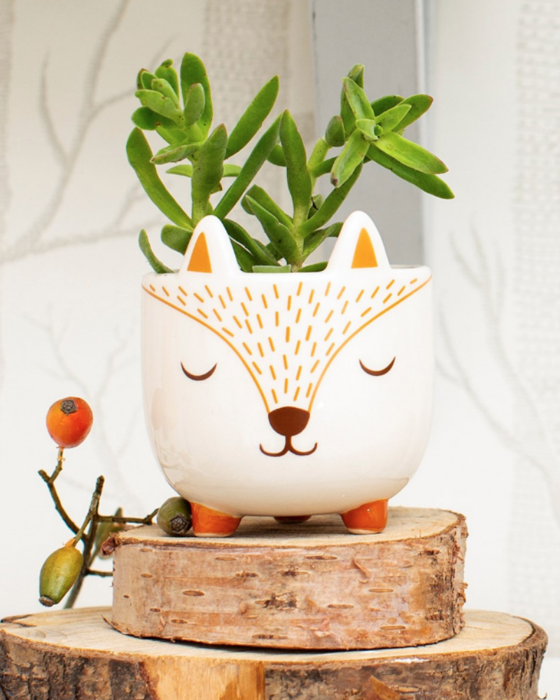Cute Fox Planter, White, brown and amber colours, beautiful contemporary deisgn, fun and positive vibes.