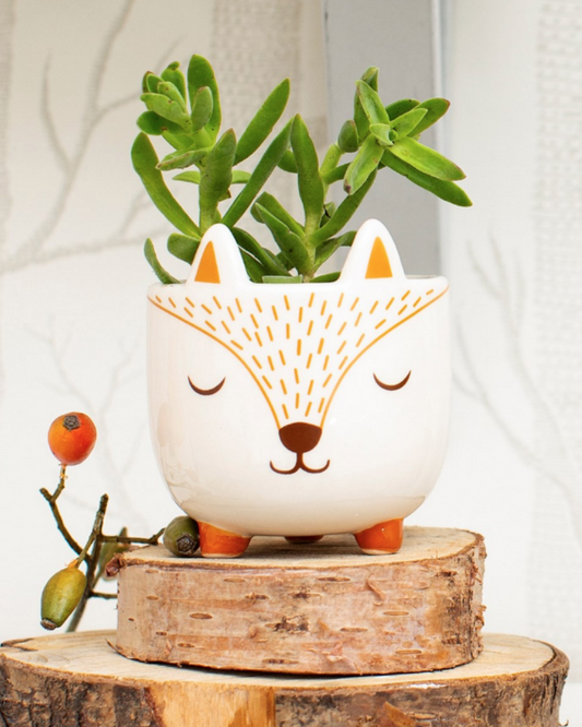 Cute Fox Planter, White, brown and amber colours, beautiful contemporary deisgn, fun and positive vibes.