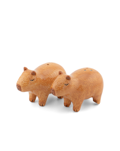 Capybara Salt & Pepper Set