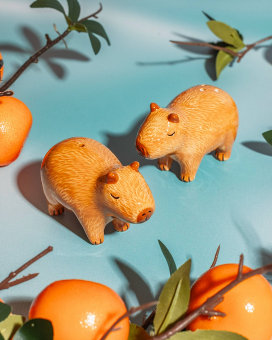 Capybara Salt & Pepper Set