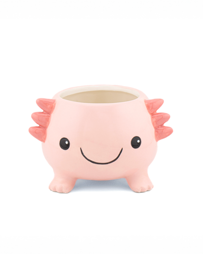 Mini Axolotl Planter
