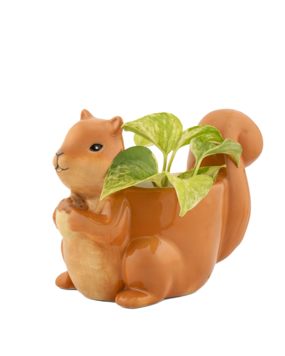 Mini Squirrel Planter