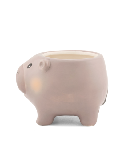 Mini Hippo Planter