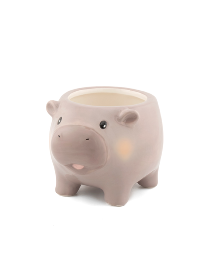 Mini Hippo Planter
