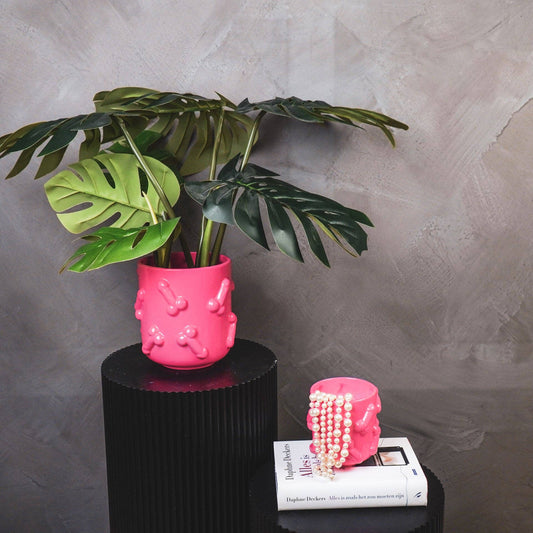 Pink Dicks Plant Pot