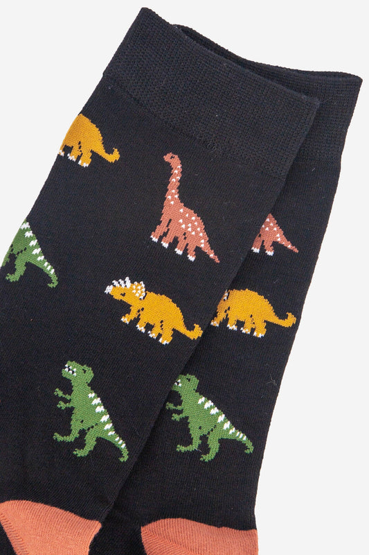Dinosaur Unisex Socks