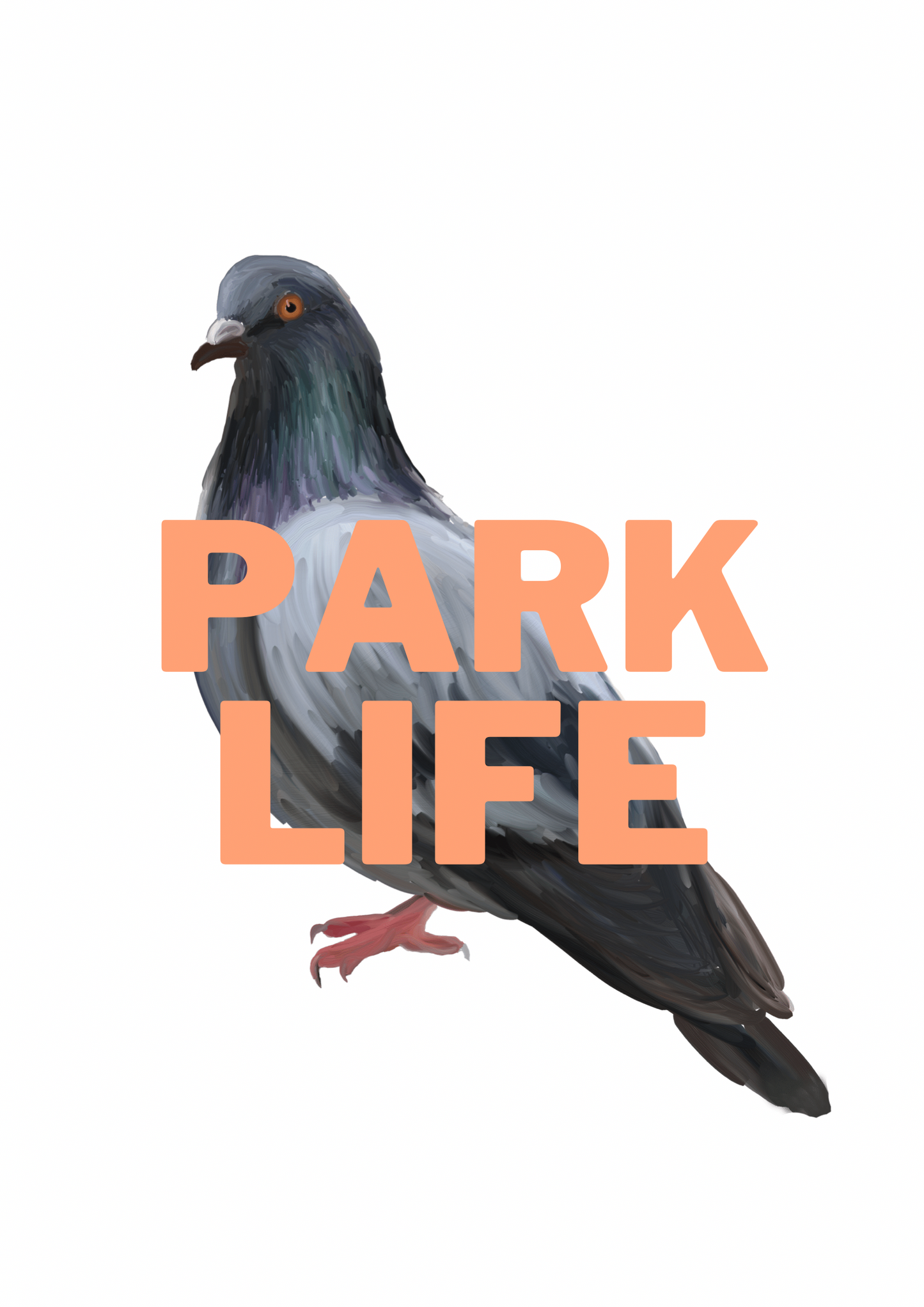 Park Life Pigeon A4 Print
