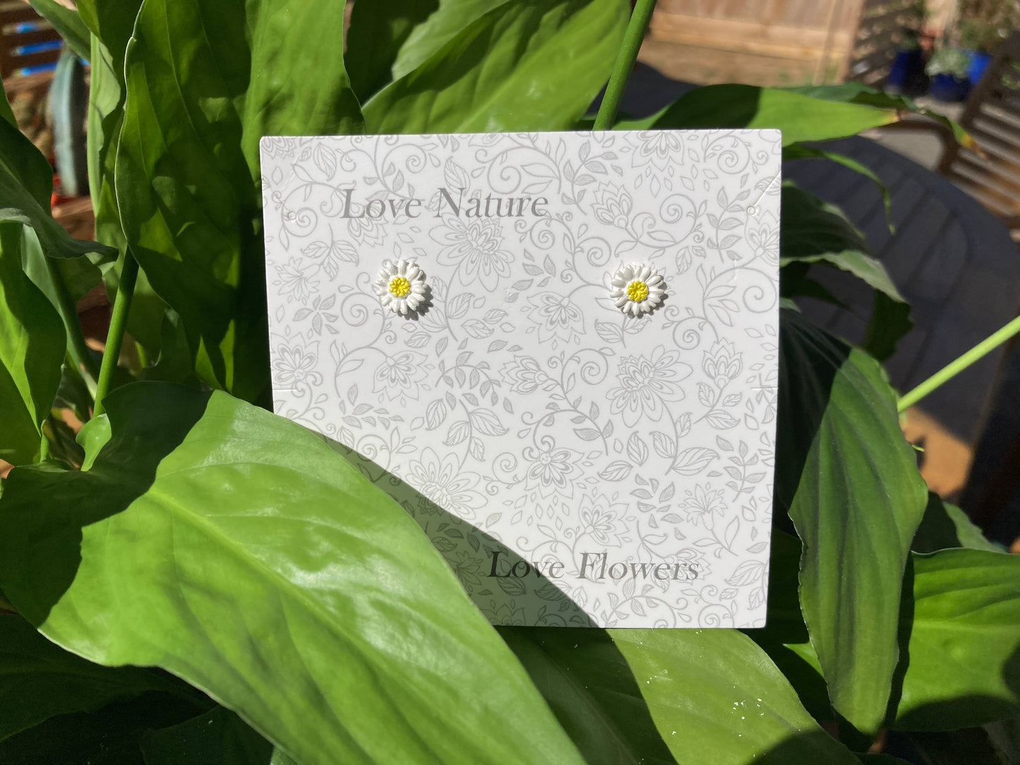 Daisy White Flower Stud Earrings
