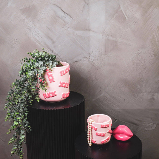 Fuck Plant Pot Pink Small